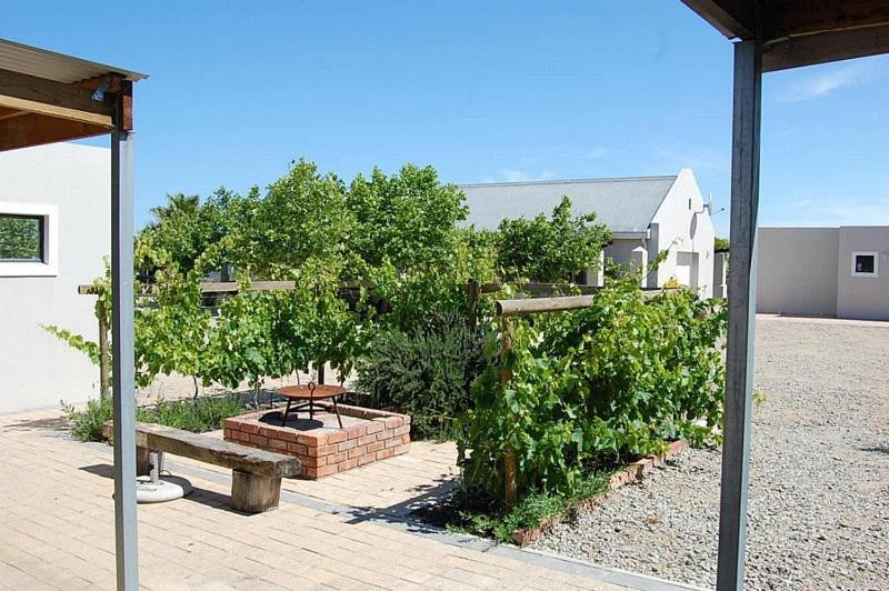 Hostal Longacre Olive&Vineyard Estate Langebaan Exterior foto